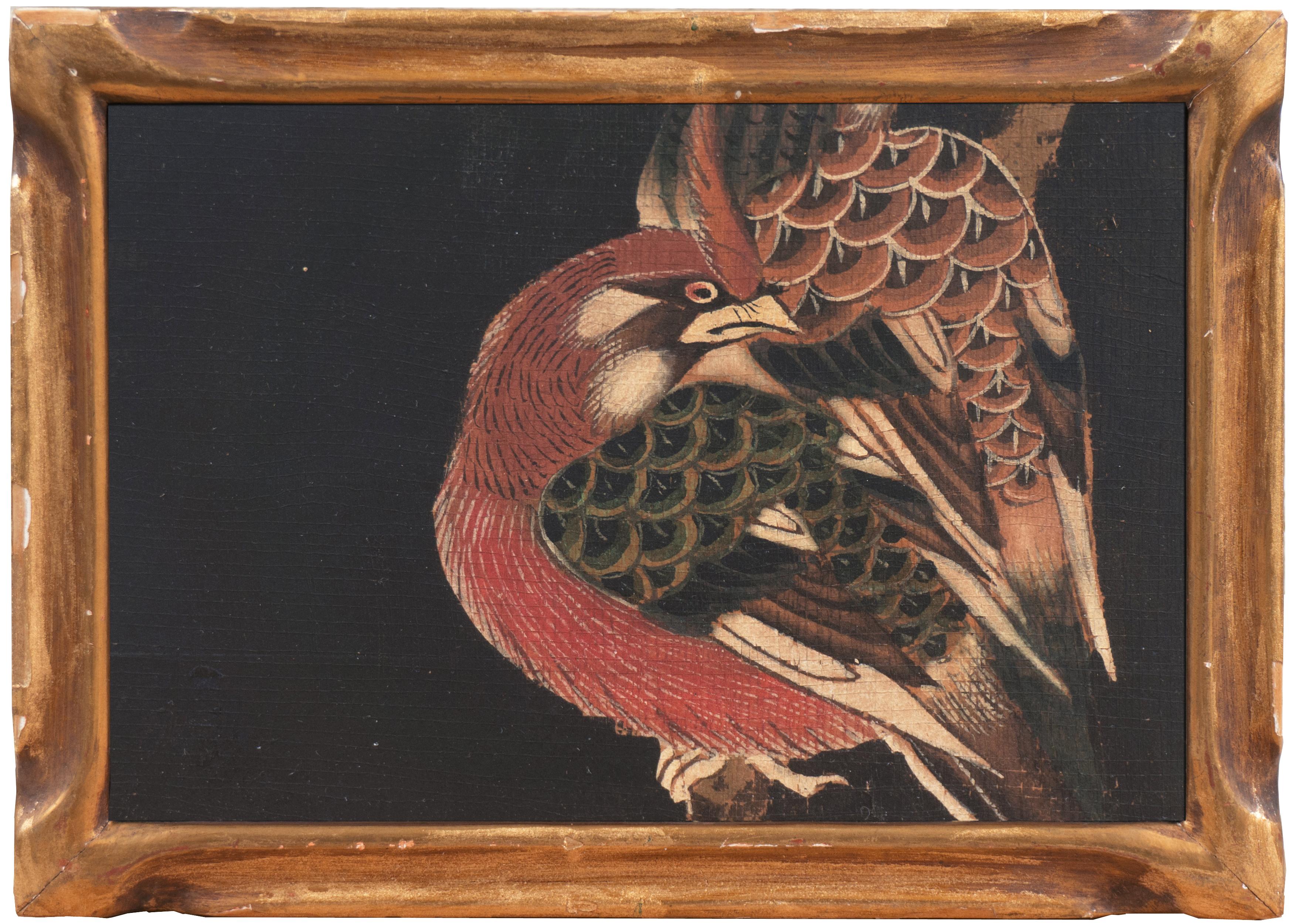 19th Century Chinese school Animal Art - 'Bird of Paradise', 19th Century Chinese School