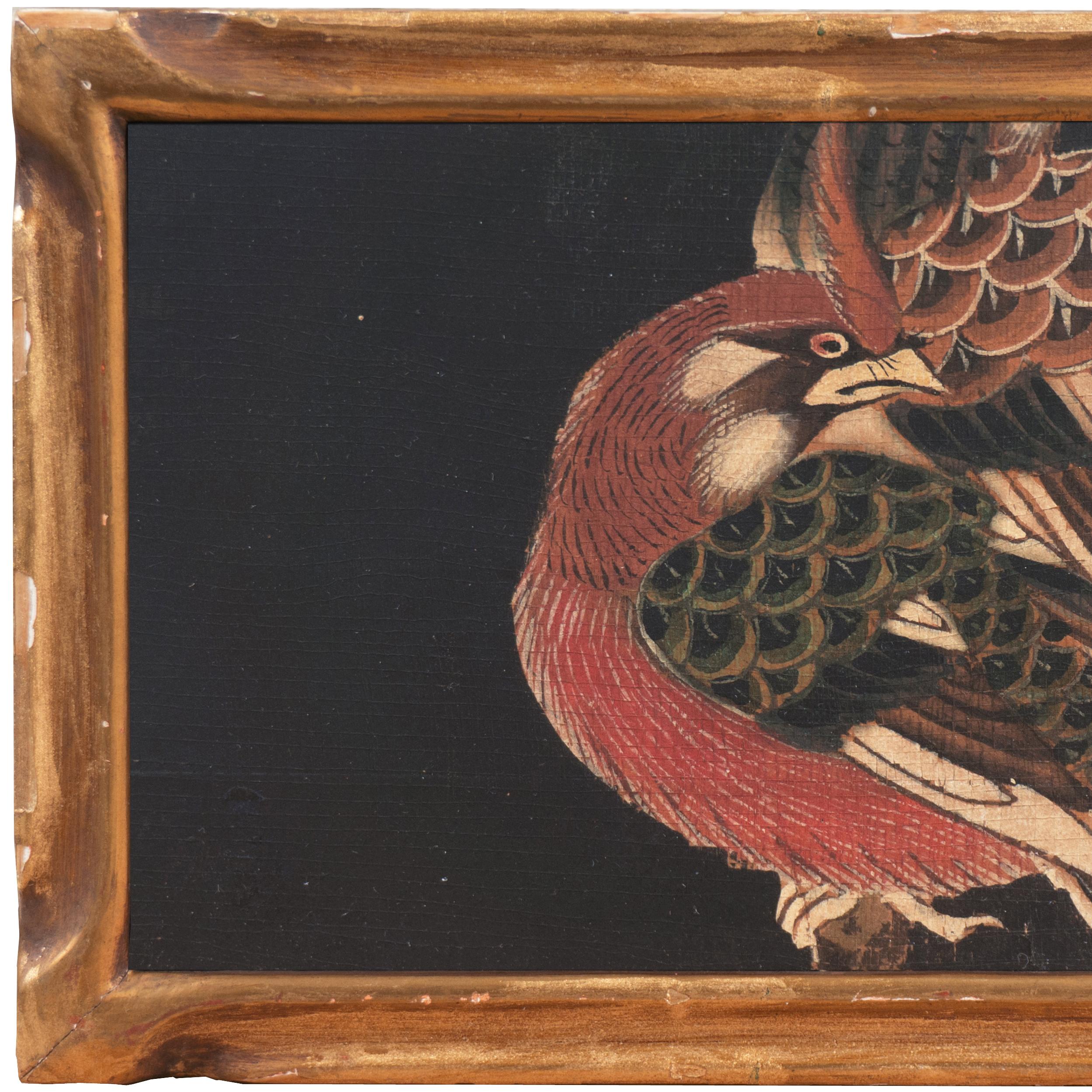 'Bird of Paradise', 19th Century Chinese School - Realist Art by 19th Century Chinese school