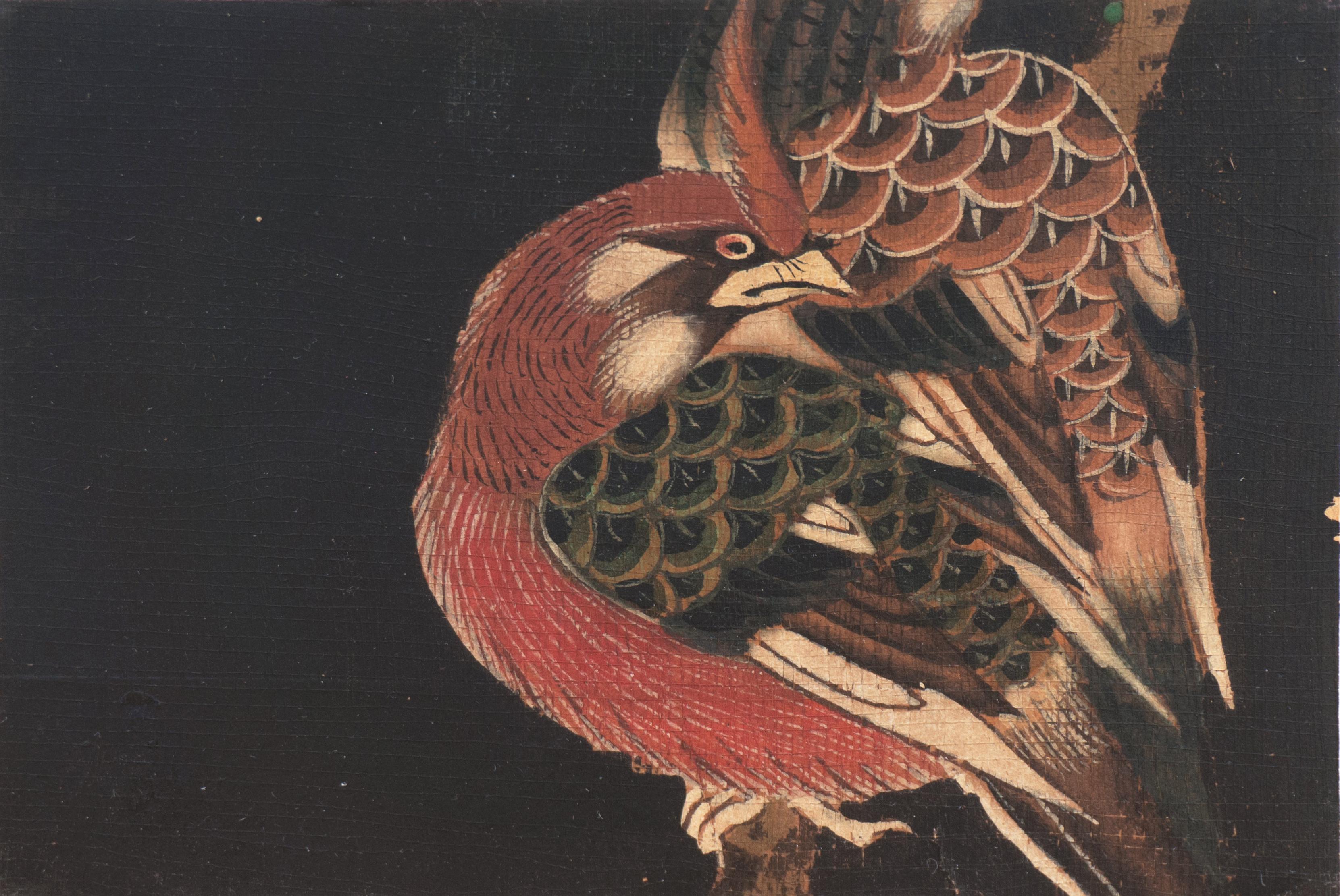 'Bird of Paradise', 19th Century Chinese School - Brown Animal Art by 19th Century Chinese school