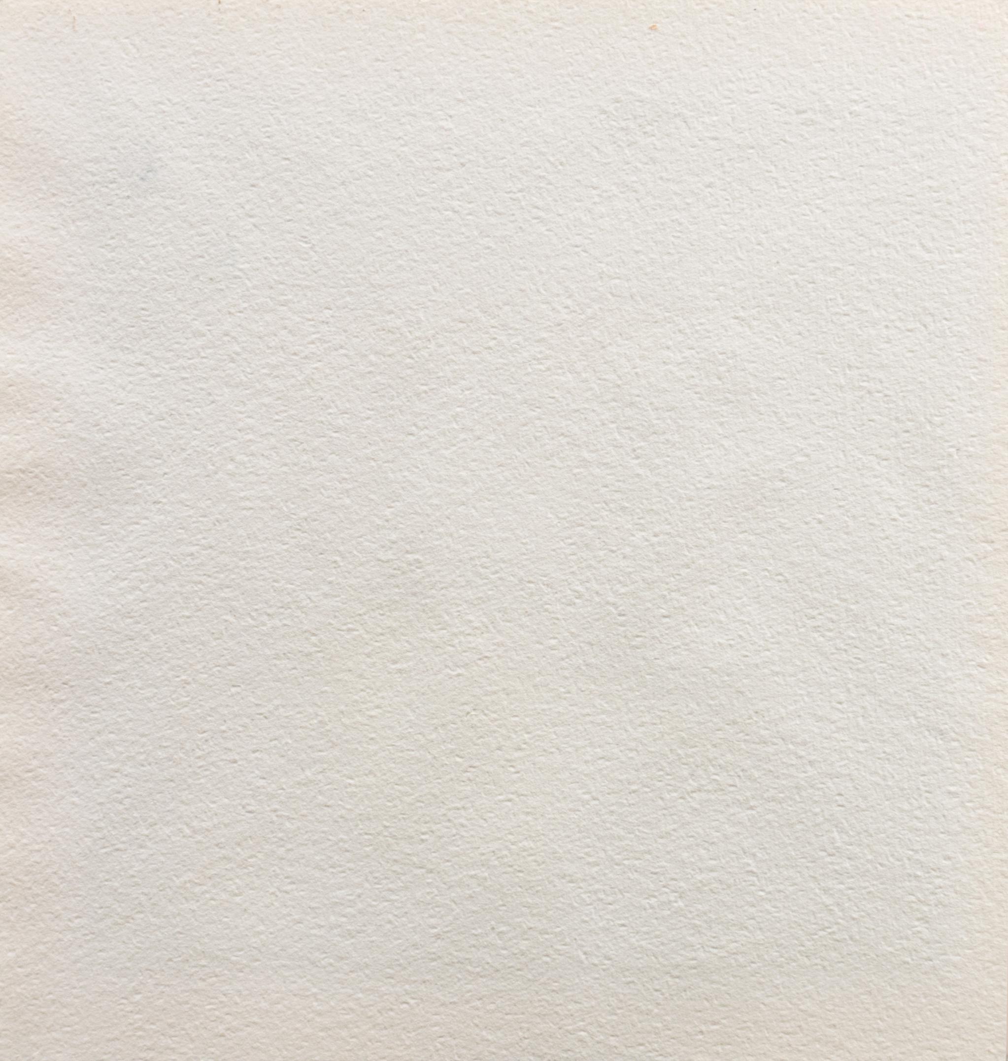 « Window Series No.3 », chien, Weimaraner, Fresno, Californie, CSUF en vente 6