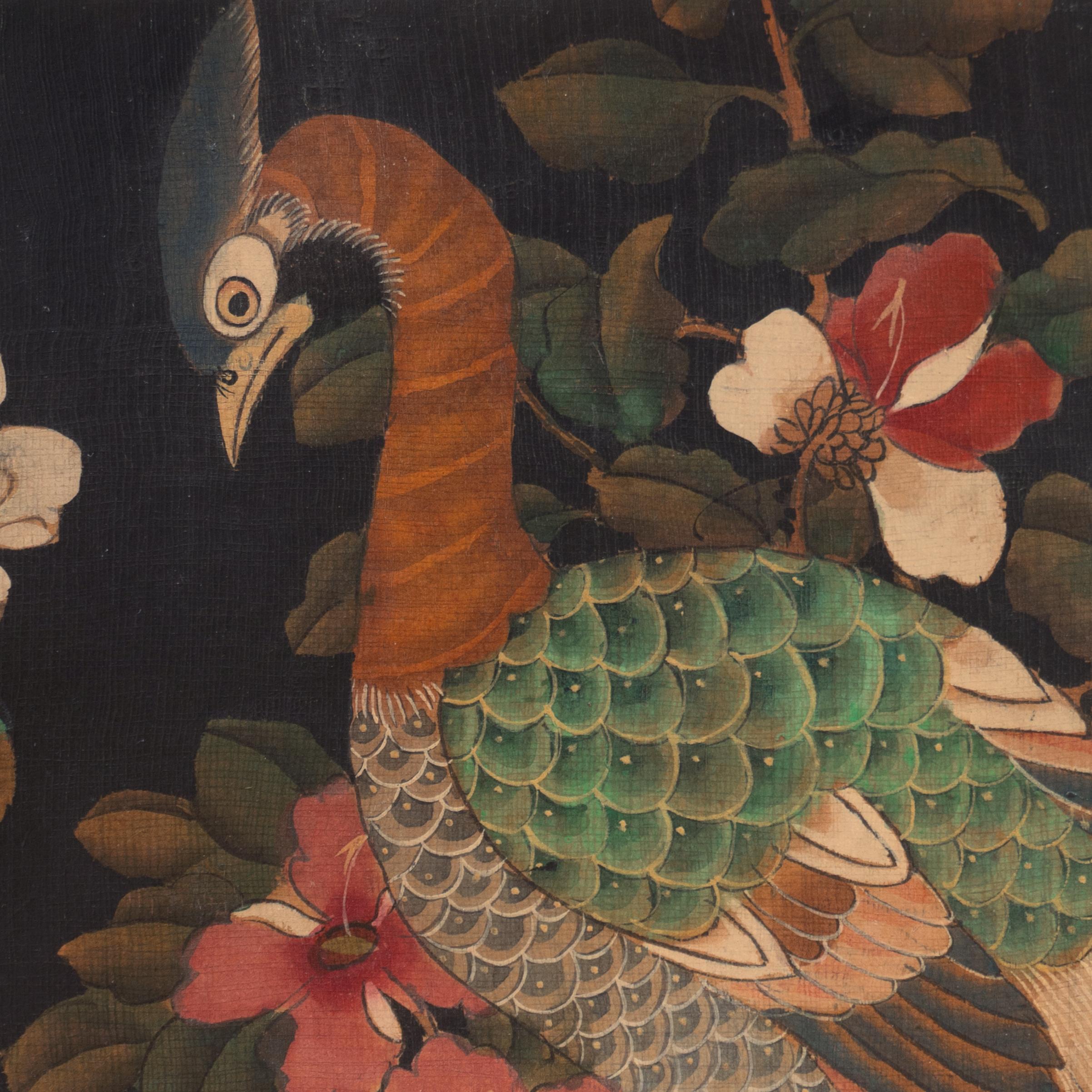 Pavone tra le magnolie