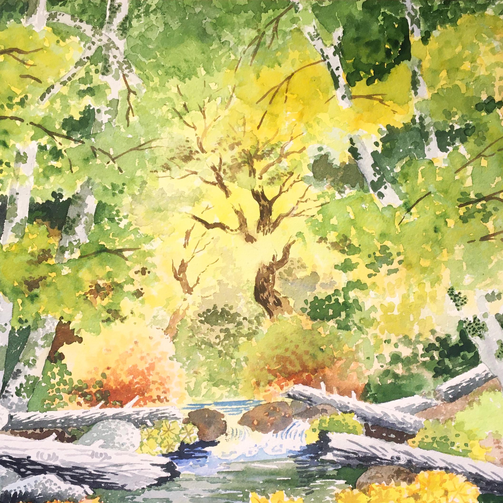 'Woodland Stream in Spring', San Francisco Bay Area, Monterey, California For Sale 1