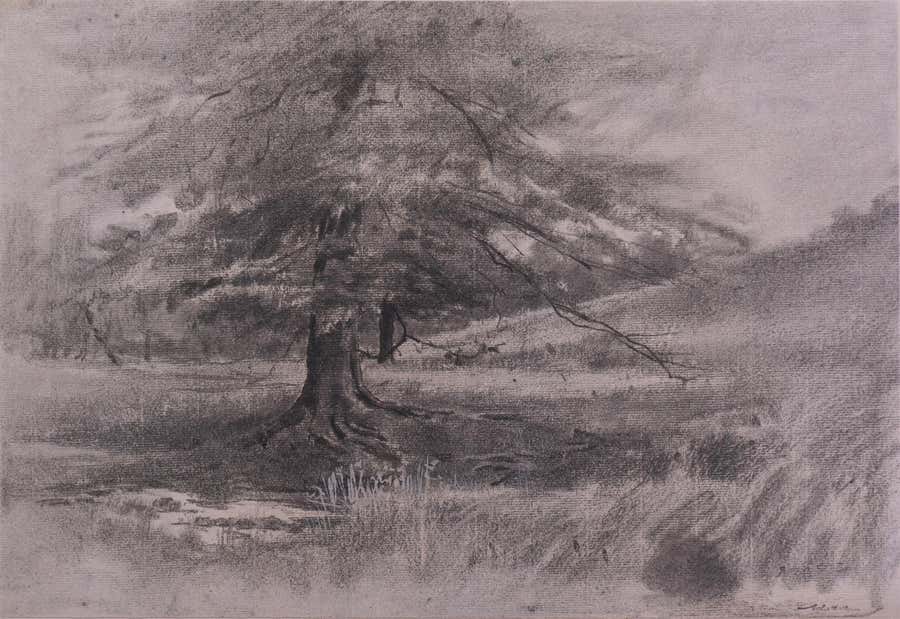 'Mighty Oak', New York Armory Show, Ashcan School, ASL, NYMOMA, AIC, LACMA