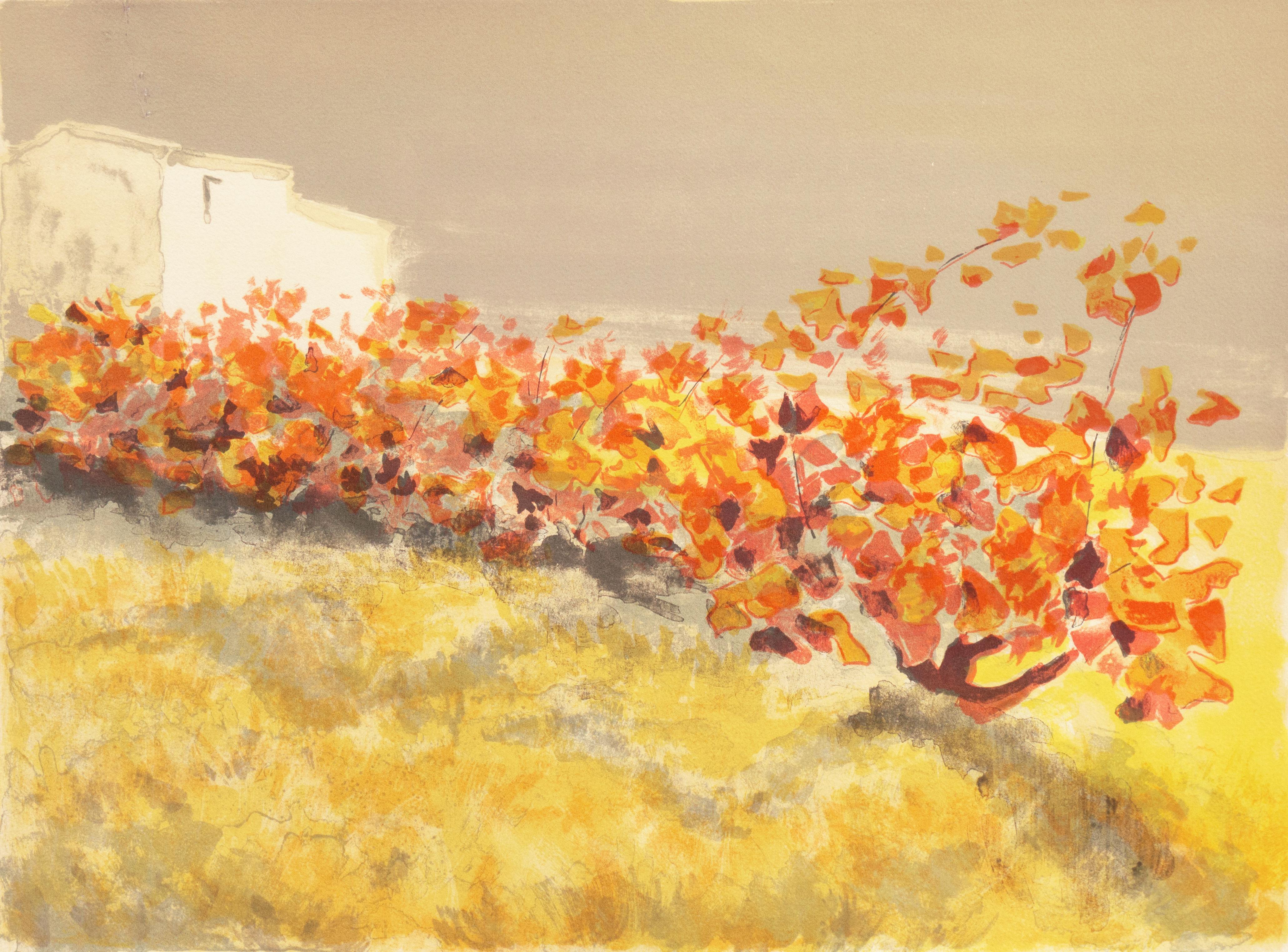 Victor Zarou Landscape Print - 'Provençal Vineyard', French Post-Impressionist Landscape, Paris Academie Julian