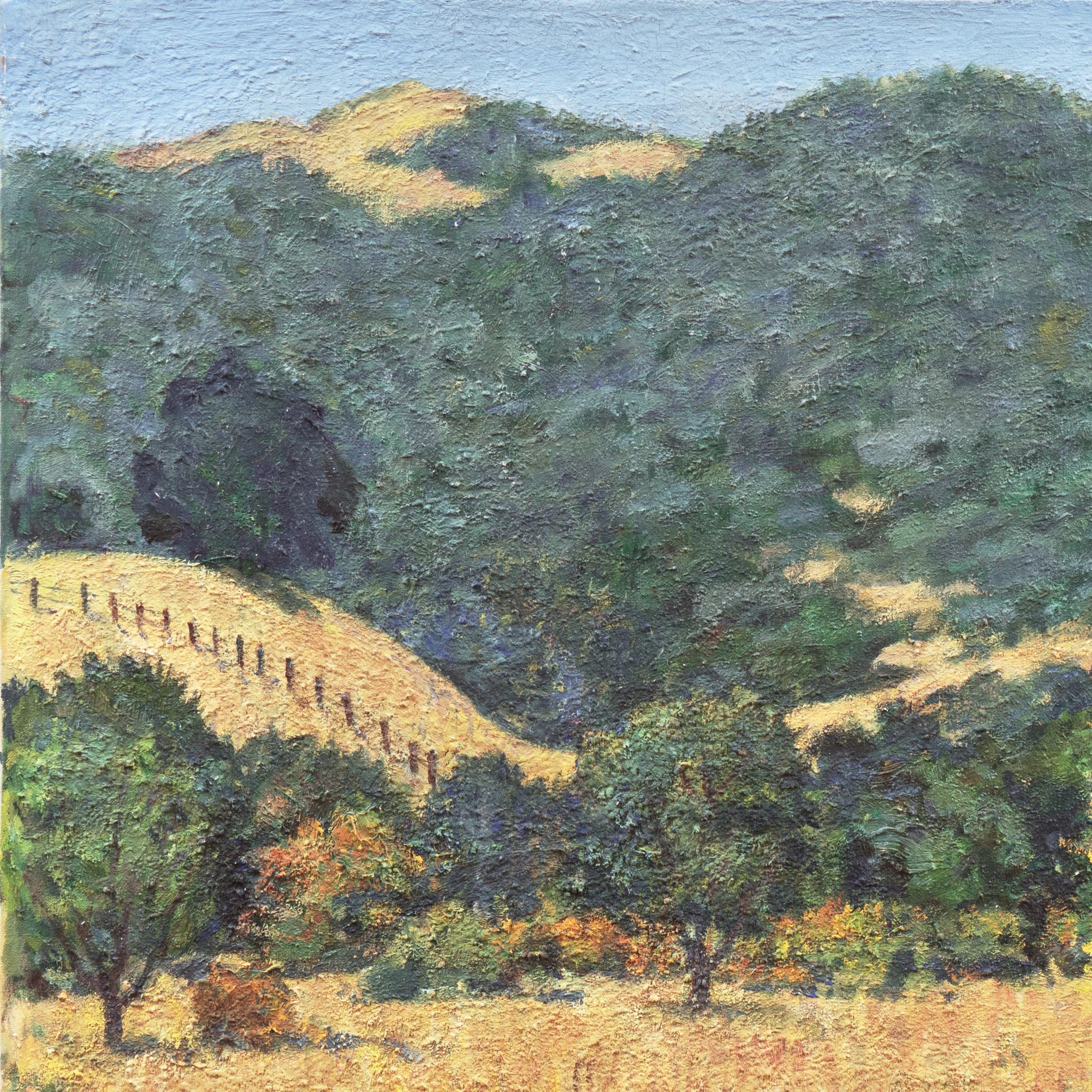 Signed lower right, 'Michel Kady' (American, 1901-1977) and dated 1969.

A large, oil on canvas landscape showing a view of rolling California hills in springtime with new blossoms on the trees beneath a an azure sky. 

Displayed in a substantial