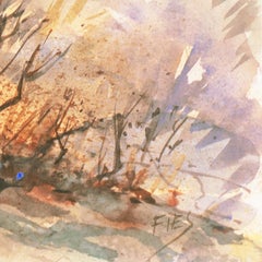 'Carmel Mission, California', Spanish Jesuit missionary church founded 1797, SWA