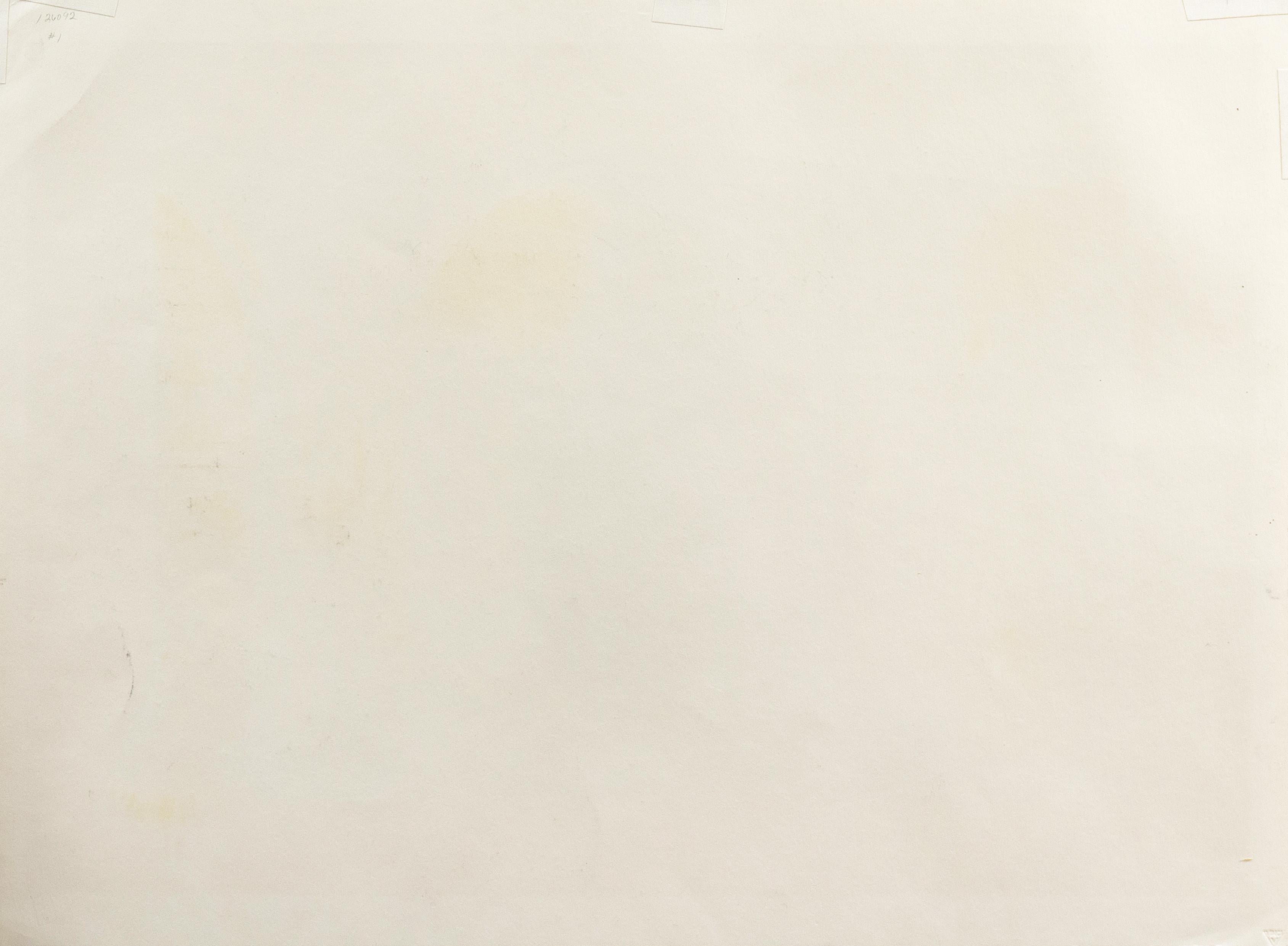 Cortile francese', Grande Scuola di Disegno di Parigi, Ecole des Beaux Arts, Lione in vendita 4