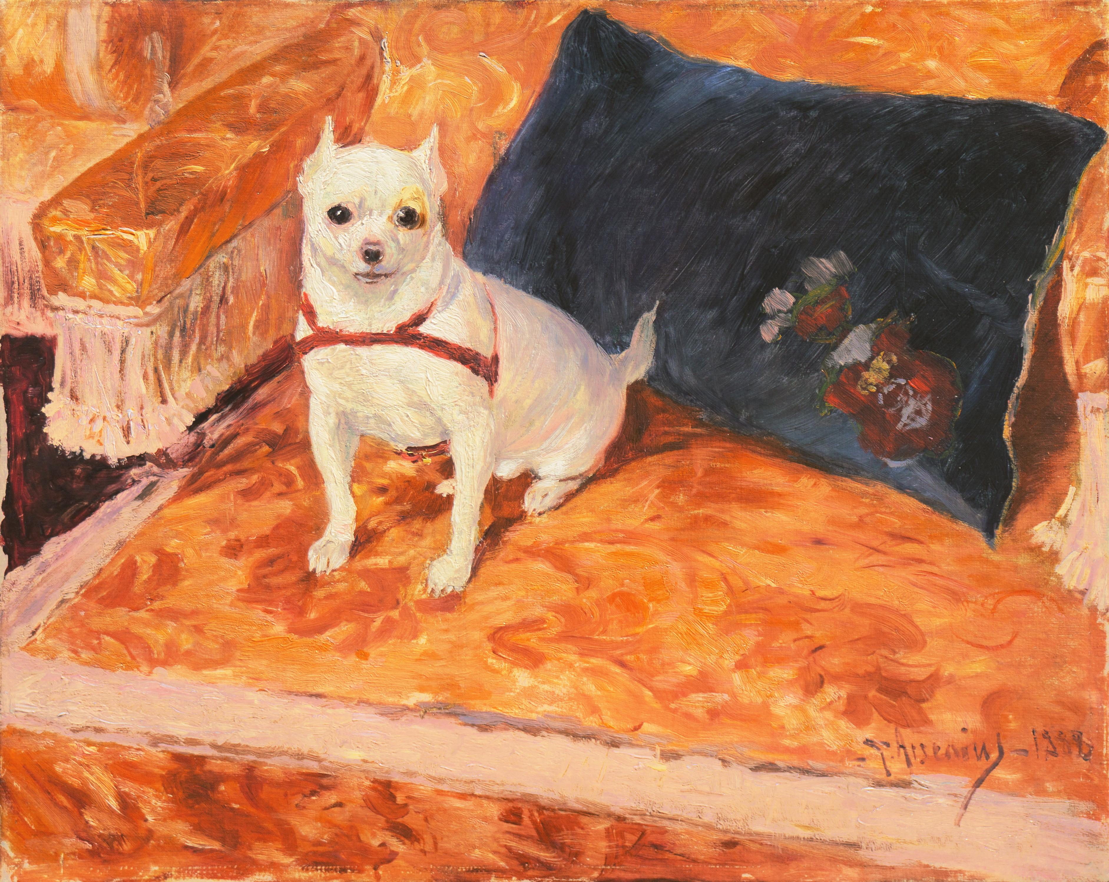 Carl Georg Arsenius Animal Painting - 'Chihuahua on a Velvet Sofa', Académie Julian, Paris, Royal Academy, Benezit