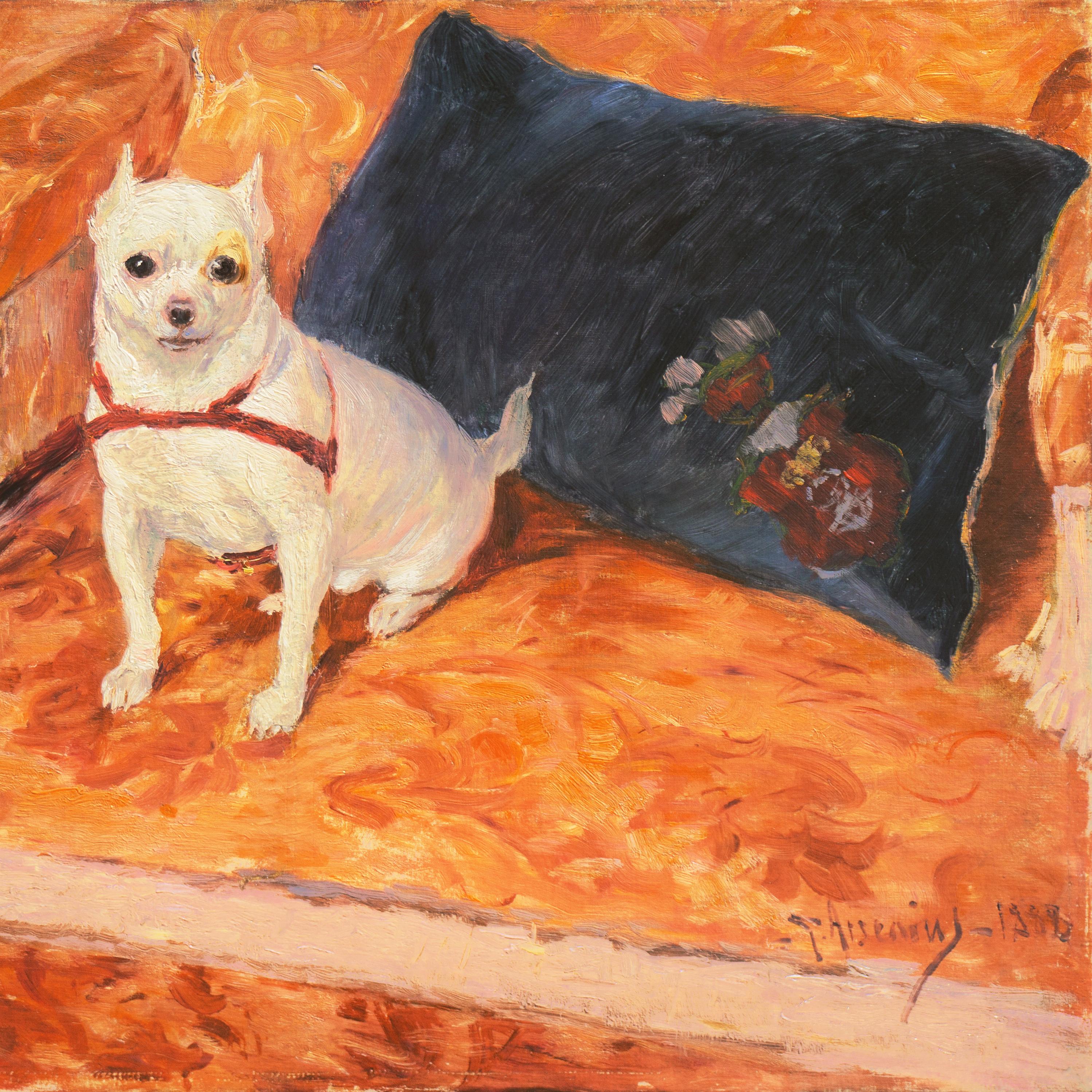 howe farms chihuahuas