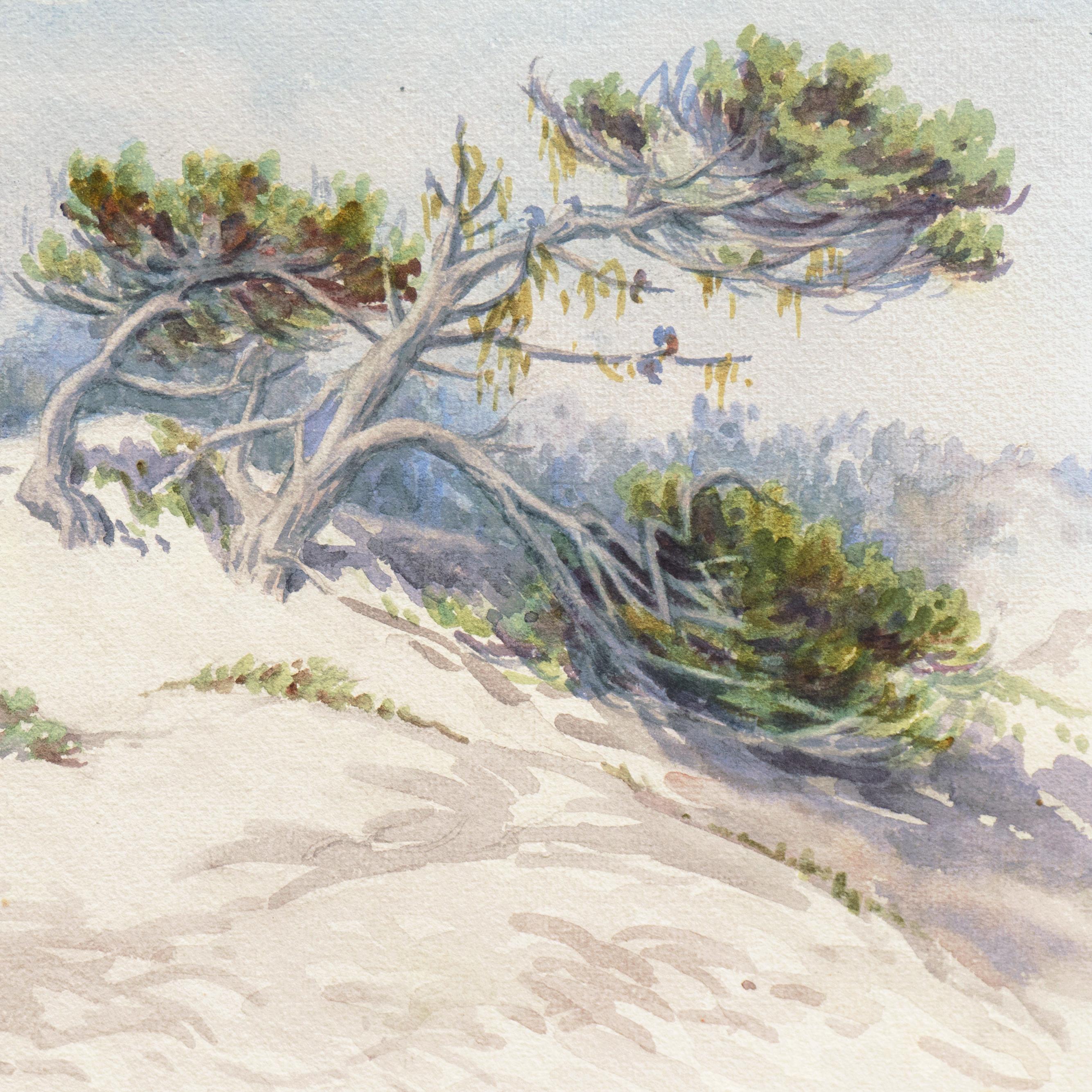 gladys california sand dunes