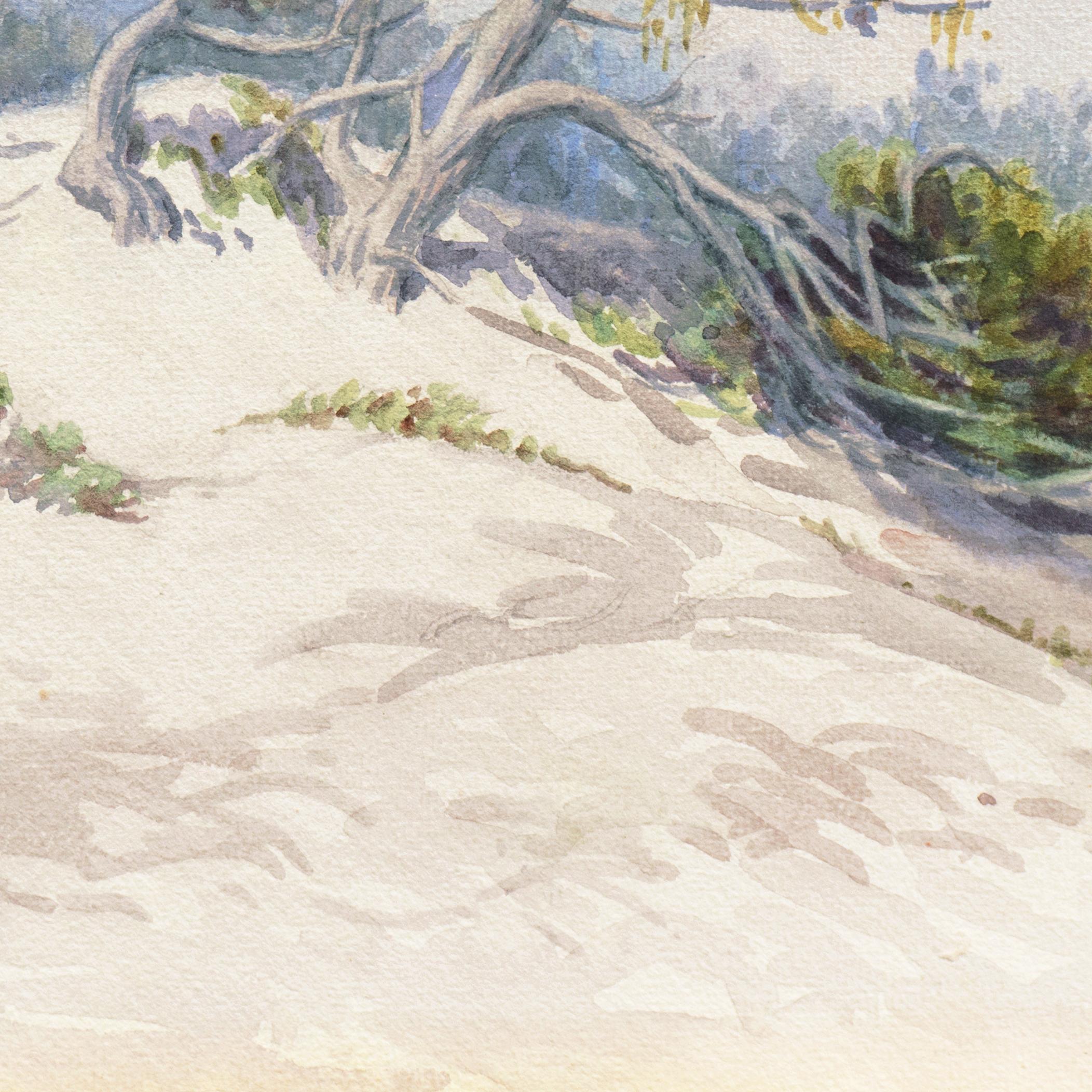 An atmospheric view of the sand dunes outside Carmel with Cypresses growing amidst the heather. Signed lower left, 'W.E. Chamberlin' for Winnie Chamberlin (American, 1878-1953) and painted circa 1915.

Born in New York in 1878. Chamberlin moved to