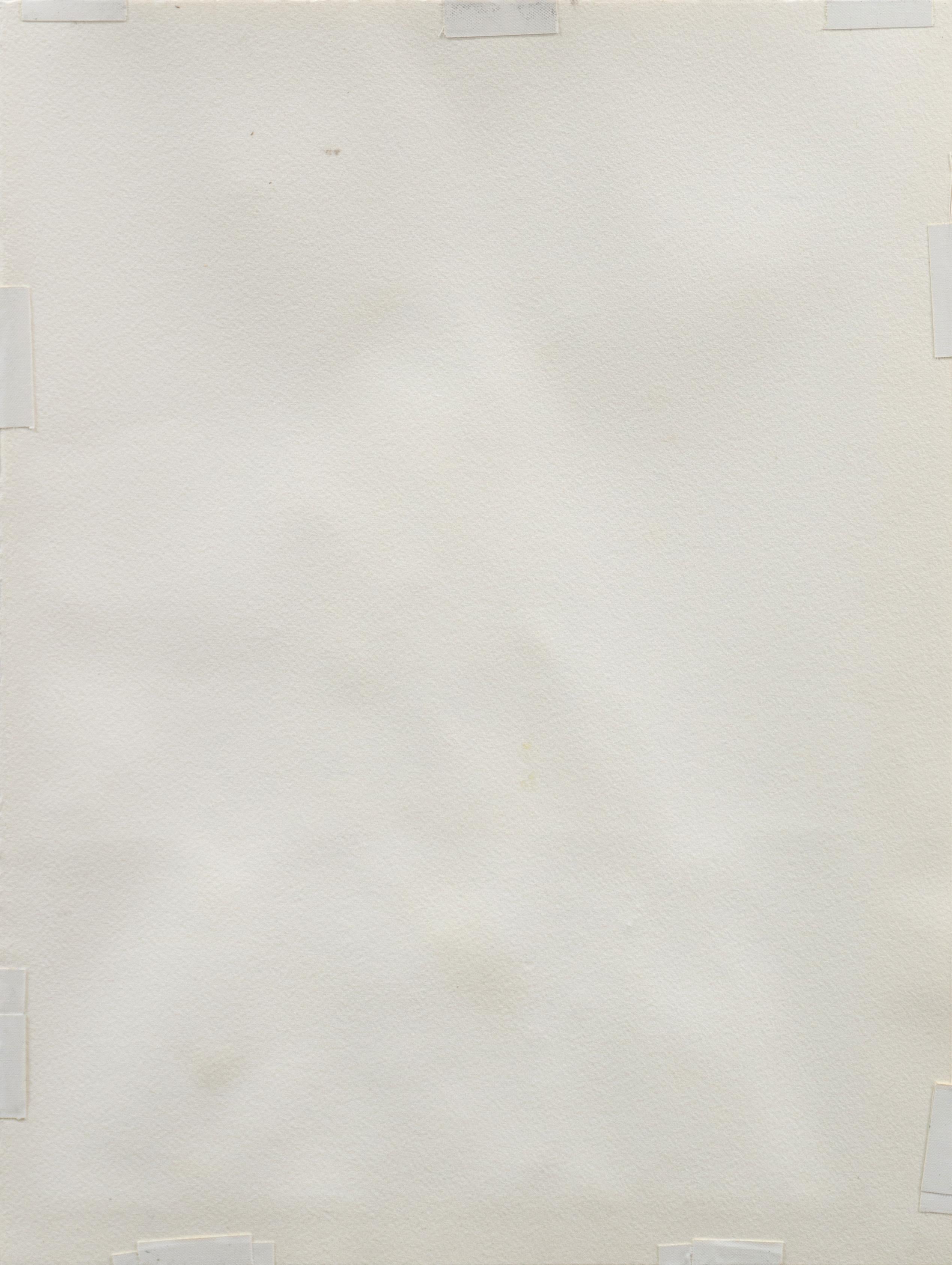 « Paysage de rêve », Birmanie, Brésil, Californie, Biennale de Sao Paulo, UNESCO en vente 7