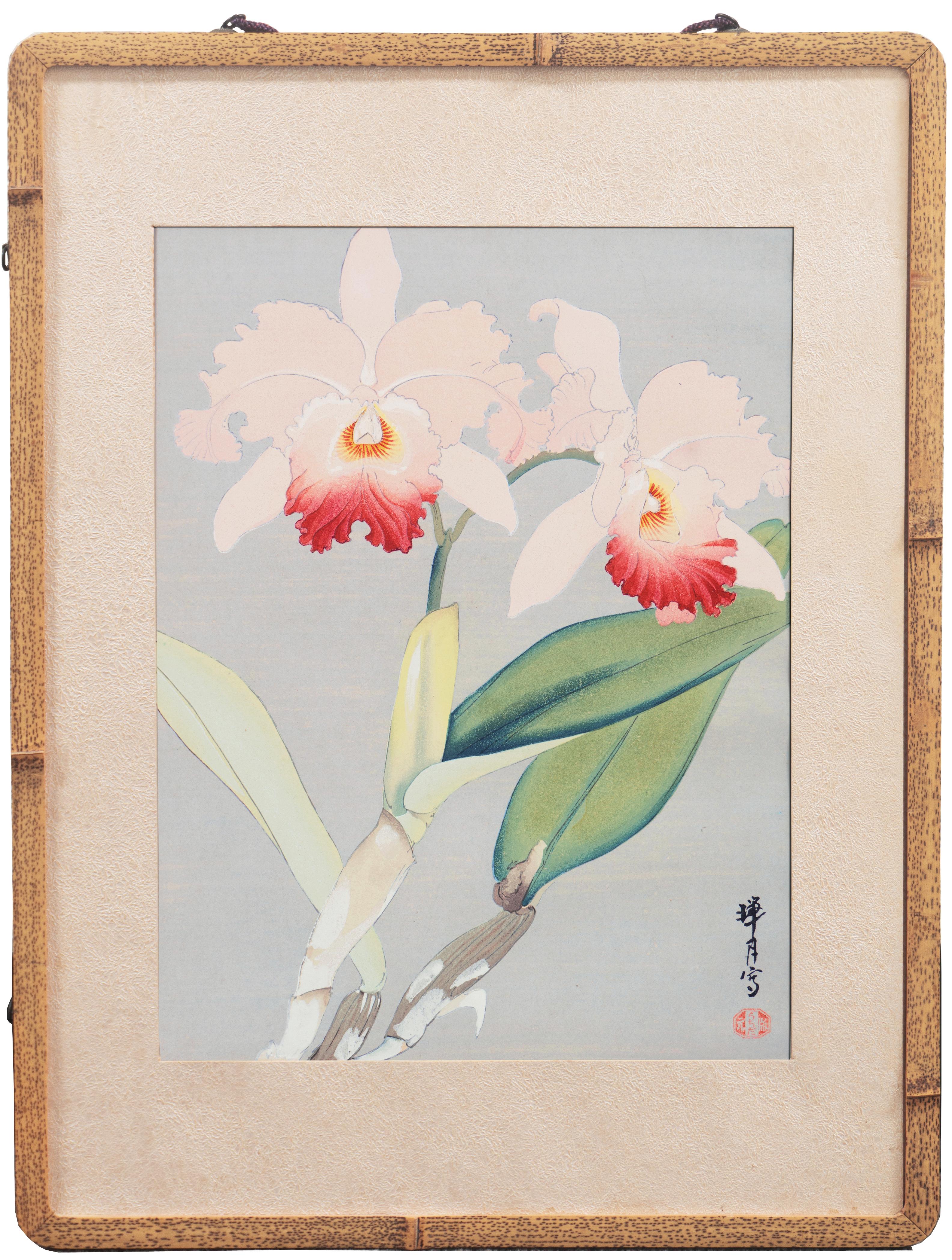 Ikeda Zuigetsu Still-Life Print - 'Still Life of Orchids', Japanese Florilegium, color woodcut, Michigan, Kyoto