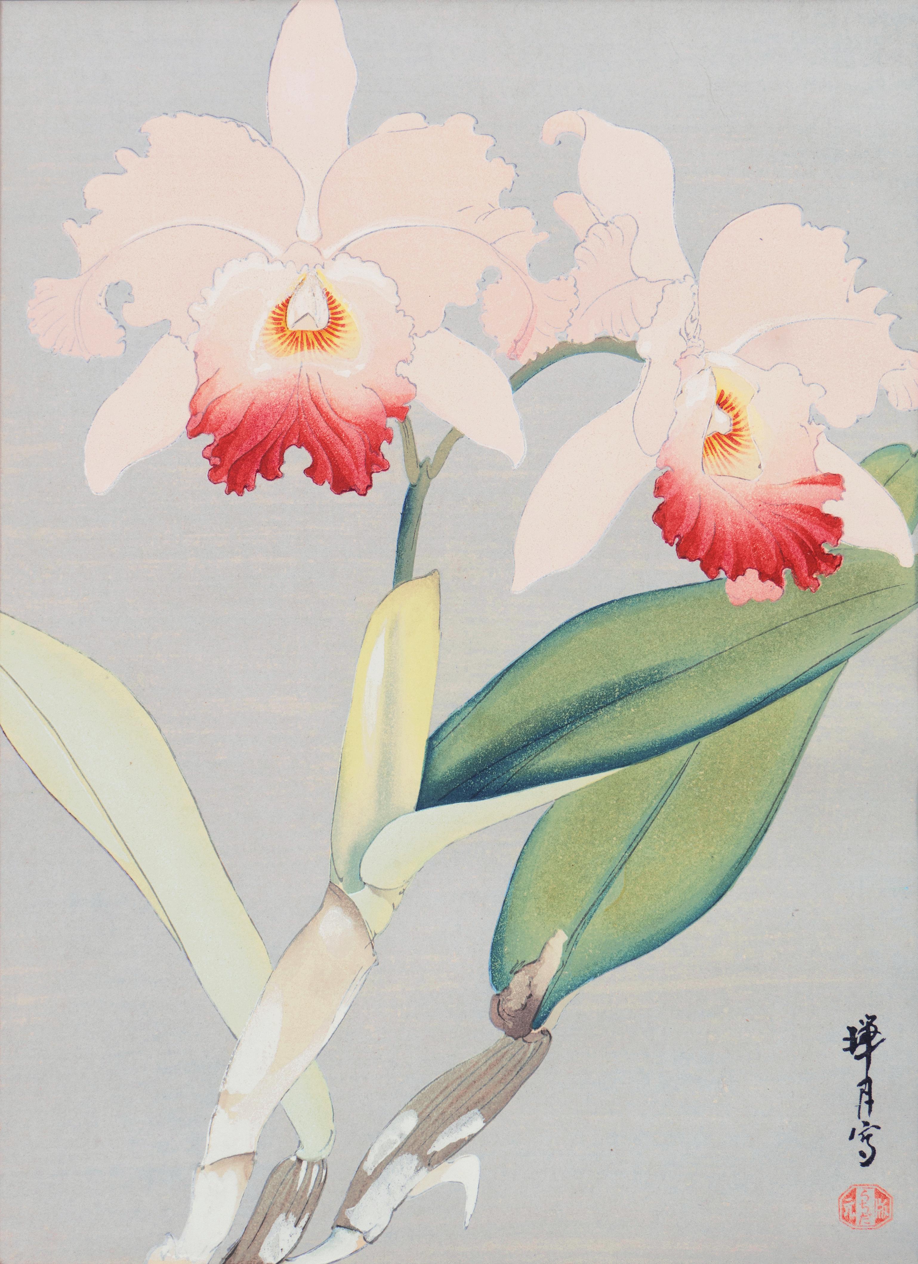 'Still Life of Orchids', Japanese Florilegium, color woodcut, Michigan, Kyoto - Print by Ikeda Zuigetsu