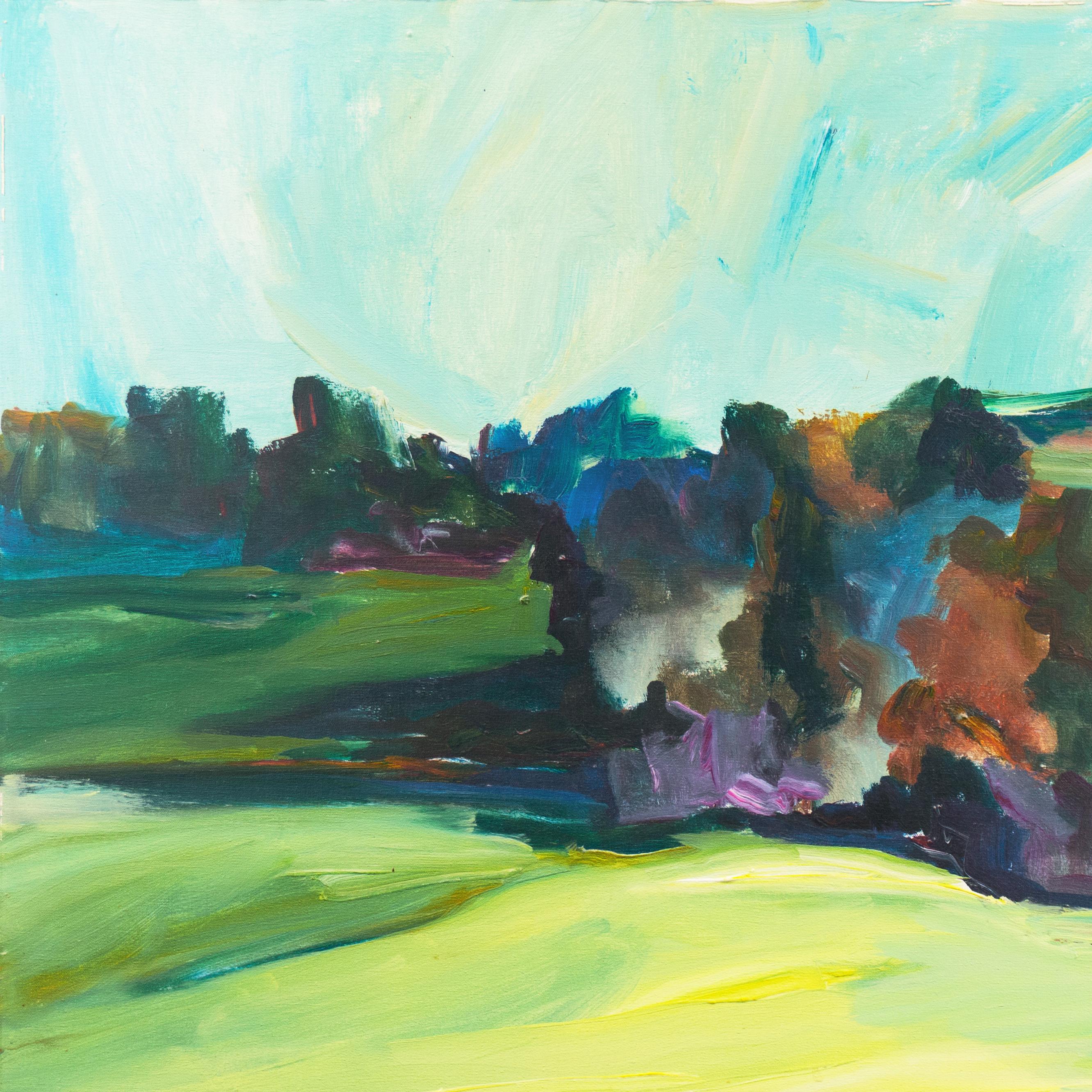 landscape shaver