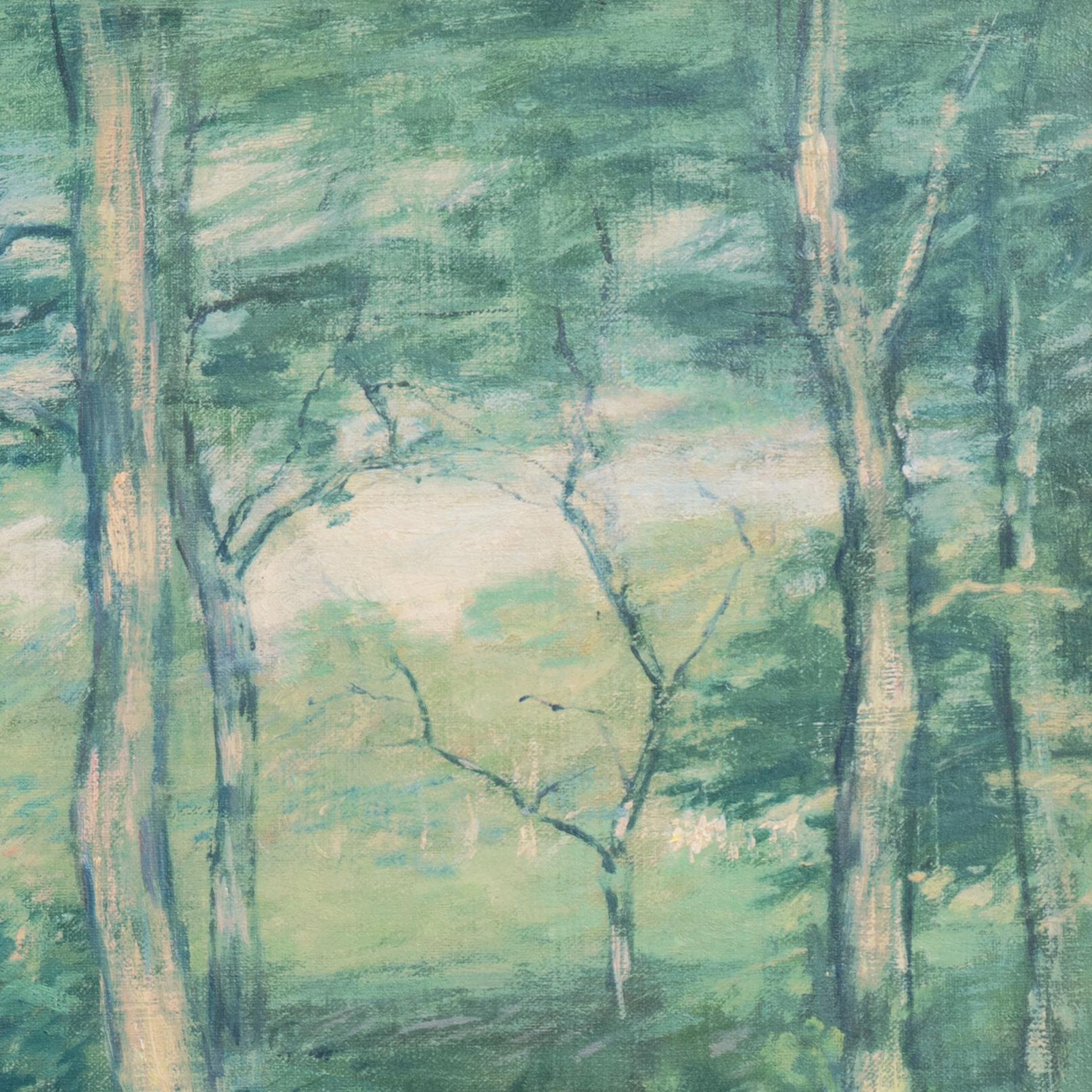 Paisaje de bosque