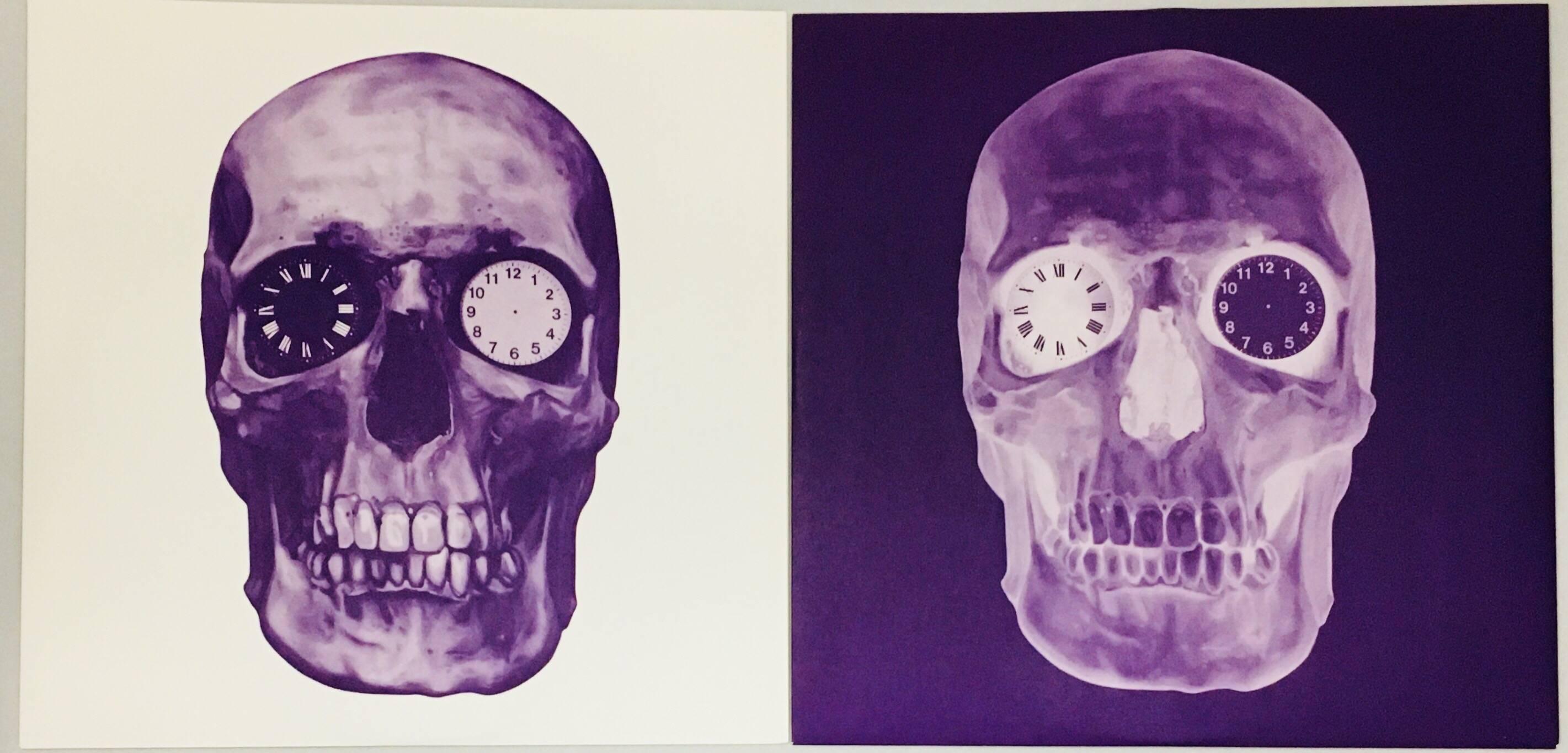 Couverture d'album de Damien Hirst Skull 5