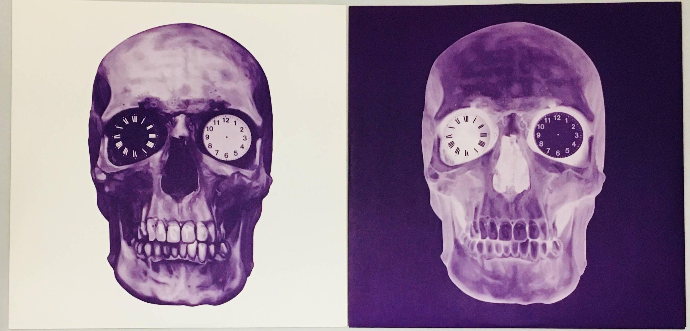 Damien Hirst Skull Album Cover Art 2