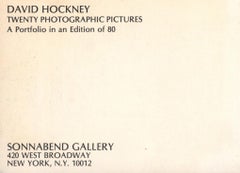David Hockney Sonnabend Gallery New York 1976 (David Hockney Pools announcement)