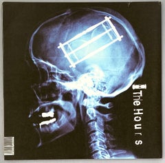 Damien Hirst skull record cover art