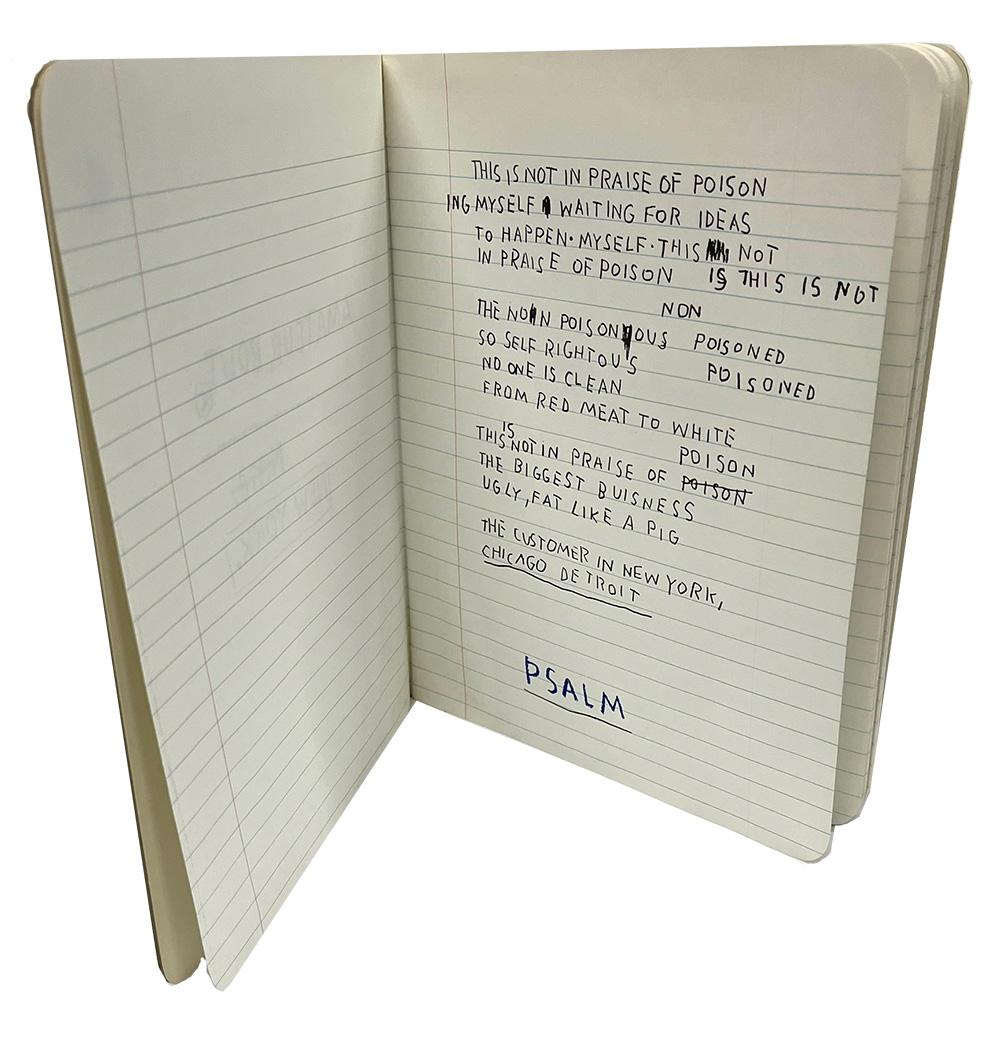 Combate amateur Jean-Michel Basquiat 1989:

Basquiat Amateur Bout es una versión impresa de 1989 de un cuaderno de composición del mismo por Basquiat. Limitado a sólo 1000 ejemplares, el  La obra fue publicada poco después de la muerte de Basquiat,