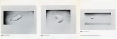 Ed Ruscha Domestic Tranquility 1974 (announcement)