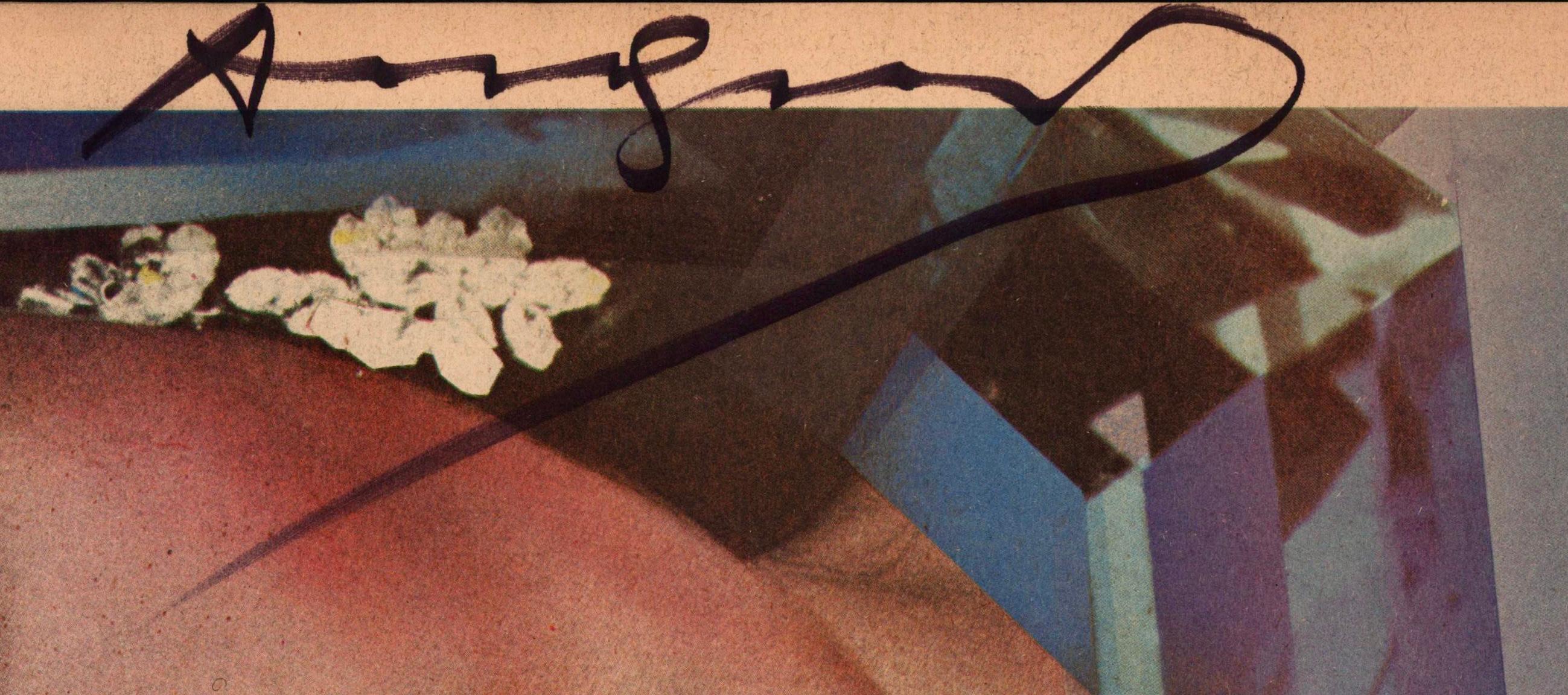 Revista de entrevistas firmada por Andy Warhol (Andy Warhol Bianca Jagger) en venta 1
