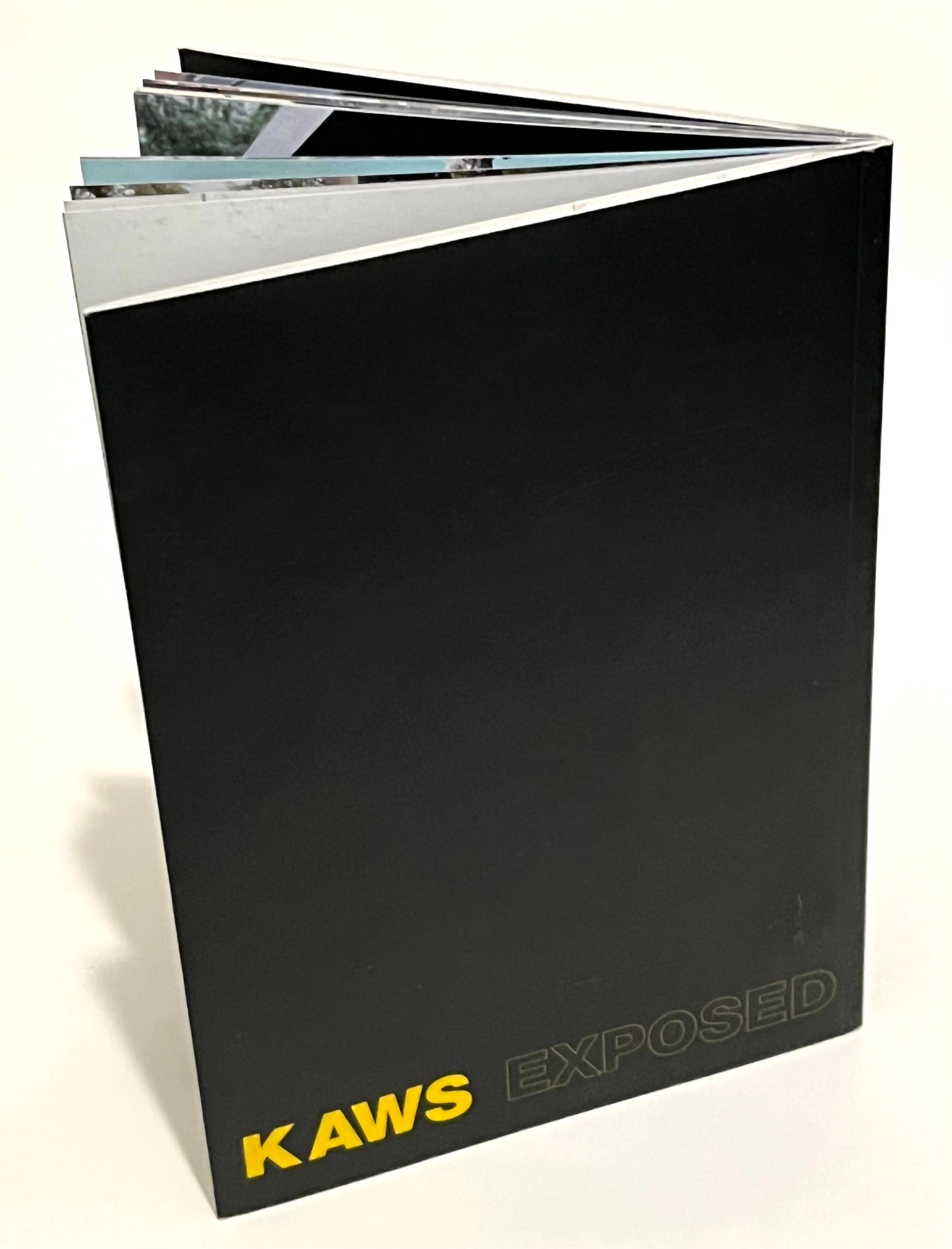 KAWS Exposed 1999 (early KAWS artist book) For Sale 2