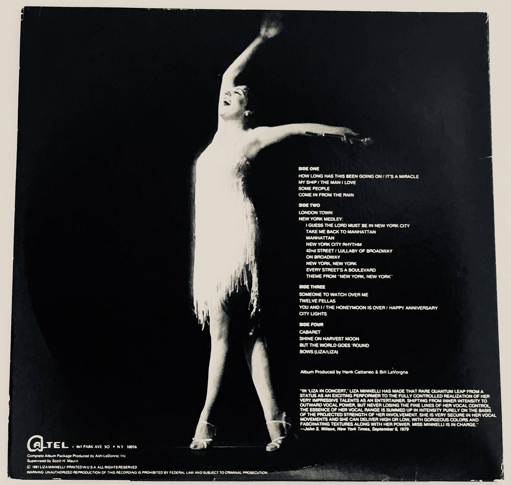 Warhol Liza Minnelli Vinyl Record Art 1