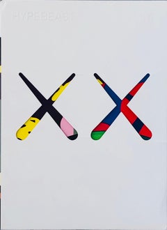 KAWS cover art (Kaws illustrated Hypebeast 2016)