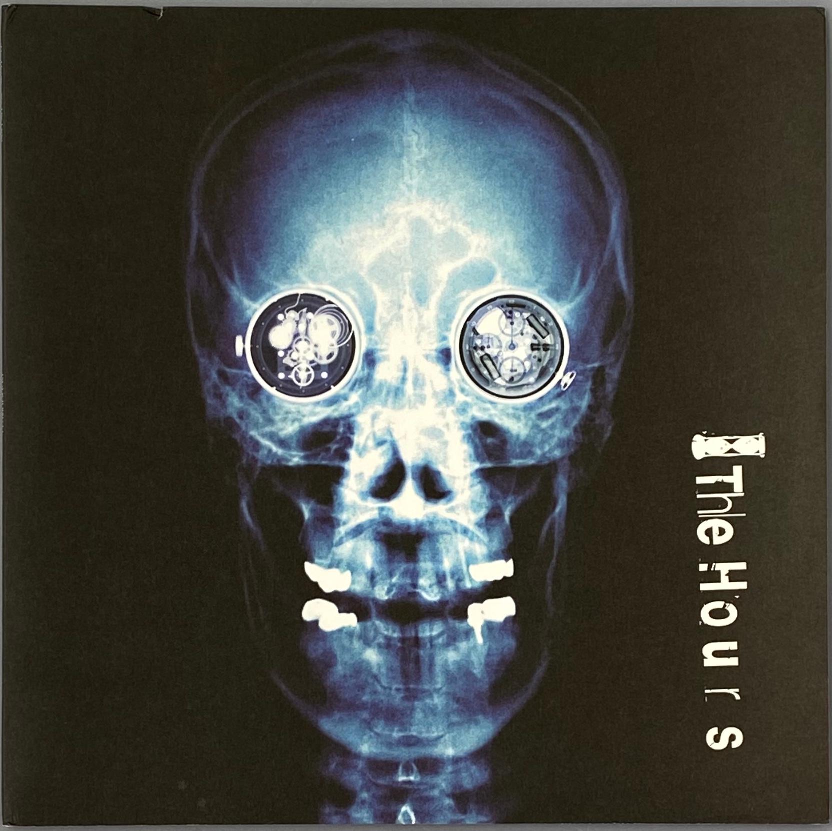 Damien Hirst Skull album art:
Damien Hirst for The Hours, 2009. Features 2 picture sleeves, plus front and back album covers, and record labels all illustrated and designed by Damien Hirst. 

Medium: Off-set lithograph on vinyl record jacket and