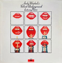 Andy Warhol Velvet Underground Record Art