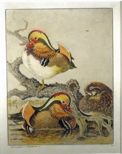 MANDARIN DUCKS