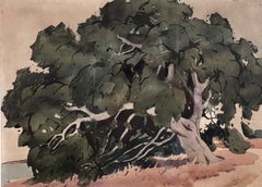 ALTER BAUM