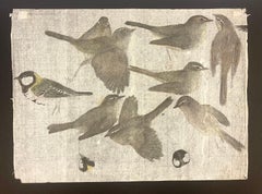 BIRDS
