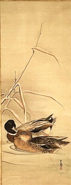 Tierzeichnungen und -aquarelle des 18. Jahrhunderts und früher