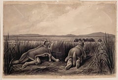 NATIVE AMERICANS HUNTING - TWO DRAWINGS.