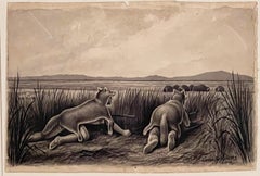 NATIVOS AMERICANOS CAZANDO - DOS DIBUJOS.