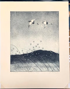 CANVASBACKS - THE EVENING FLIGHT