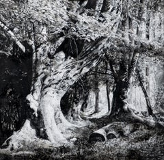 Where sylvan shadows held a name