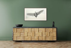 The Ease of Ascent: Night Heron