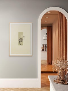 Vista sul giardino #4, felce con libellula