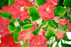 Bright Camellias