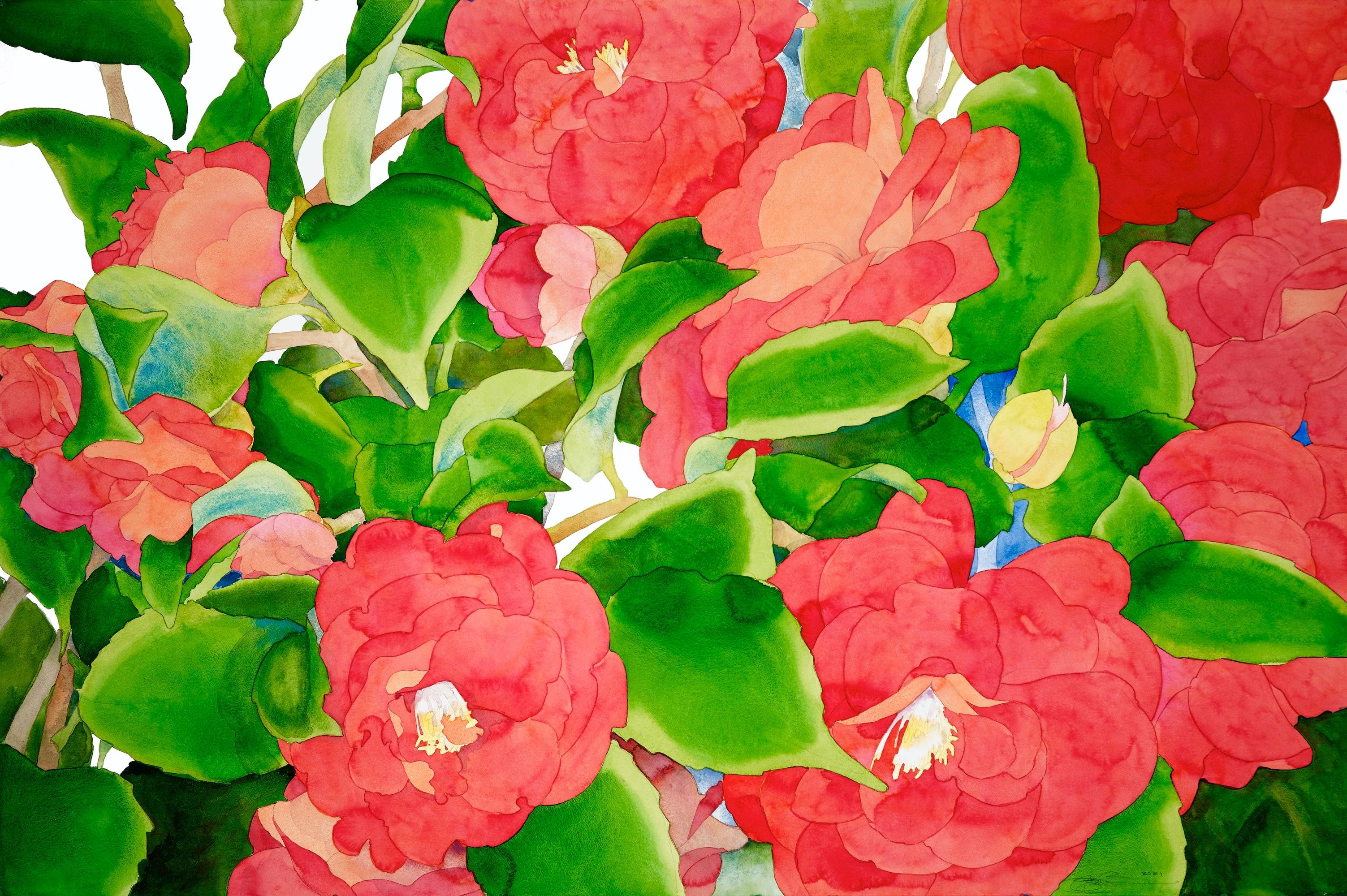 Camelie luminose Acquerello su carta, con cornice Arte contemporanea. Incorniciato