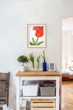 Amaryllis Study no. 4