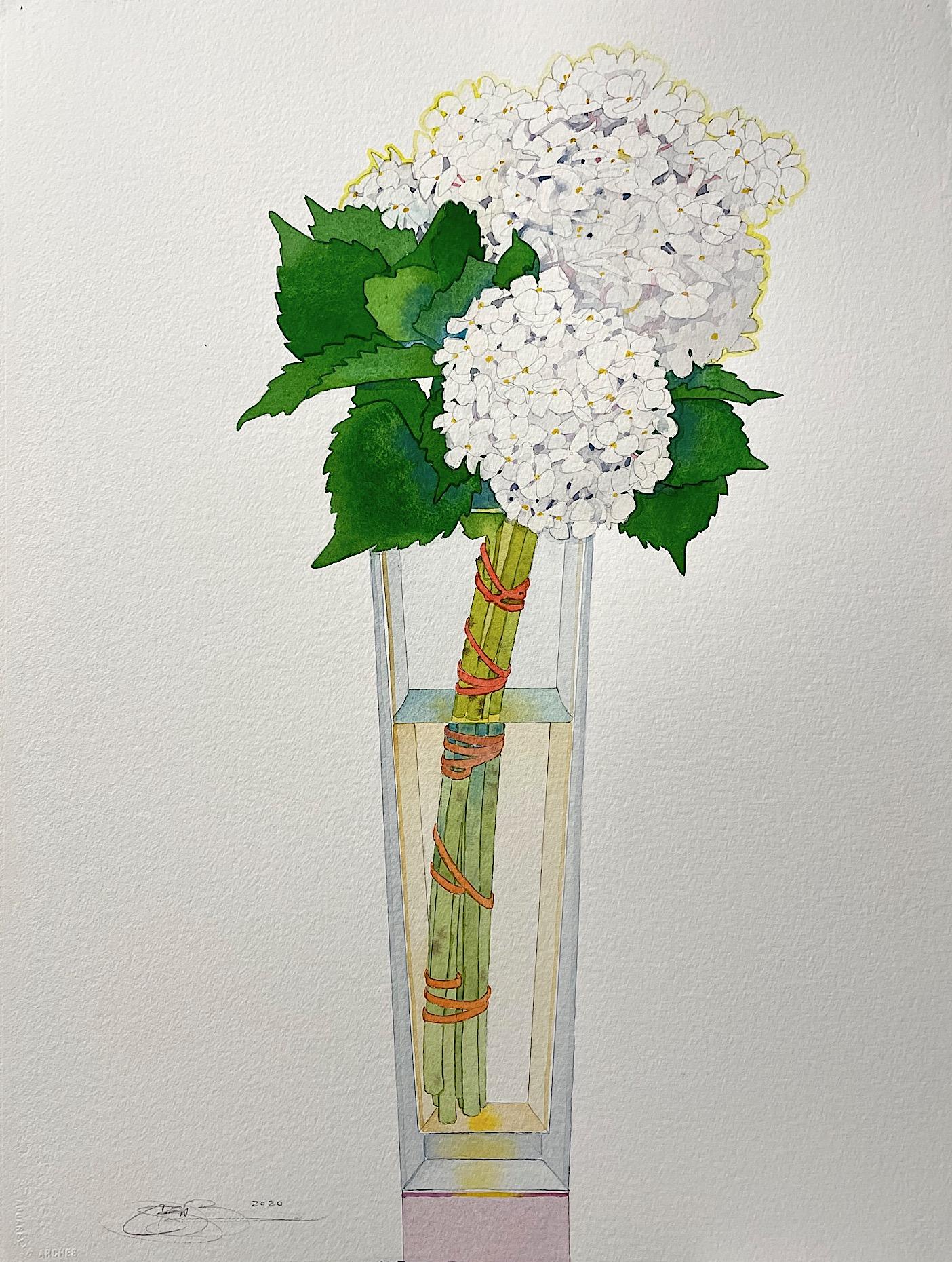 Gary Bukovnik Still-Life – Weißes Hydrangea in hoher Vase