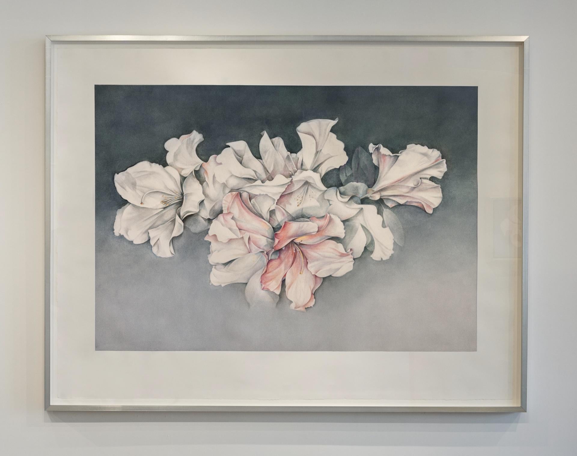 Fragrantissima - Art Realismo di Susan Manchester 