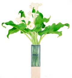 Lirio Calla