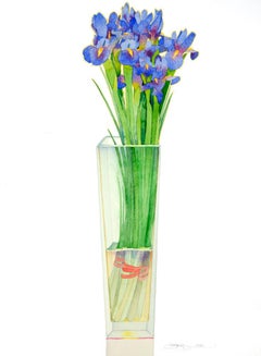 Iris in a tall vase