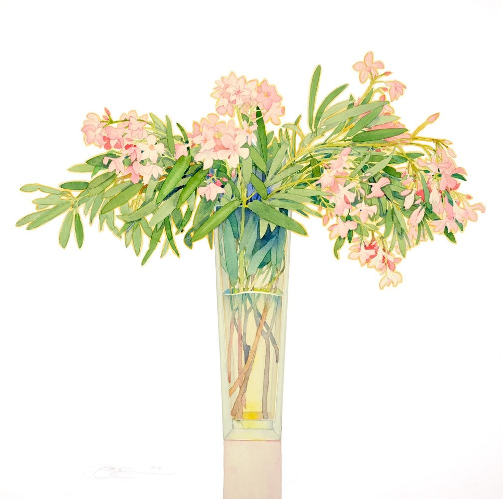 Oleander dans un grand vase